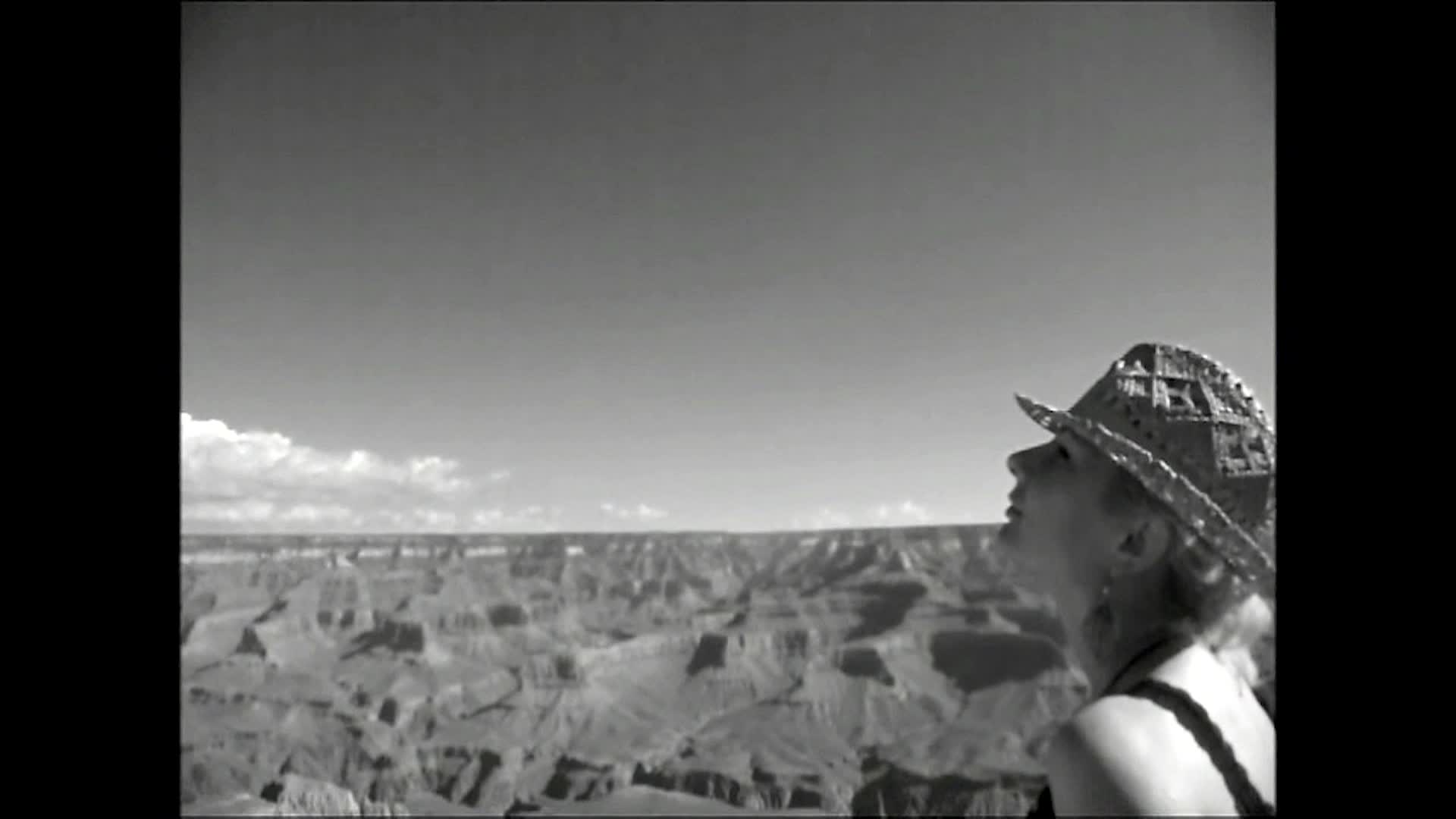 Bongo Boy TV Ep5 S13 Eclipse Fly and Honey