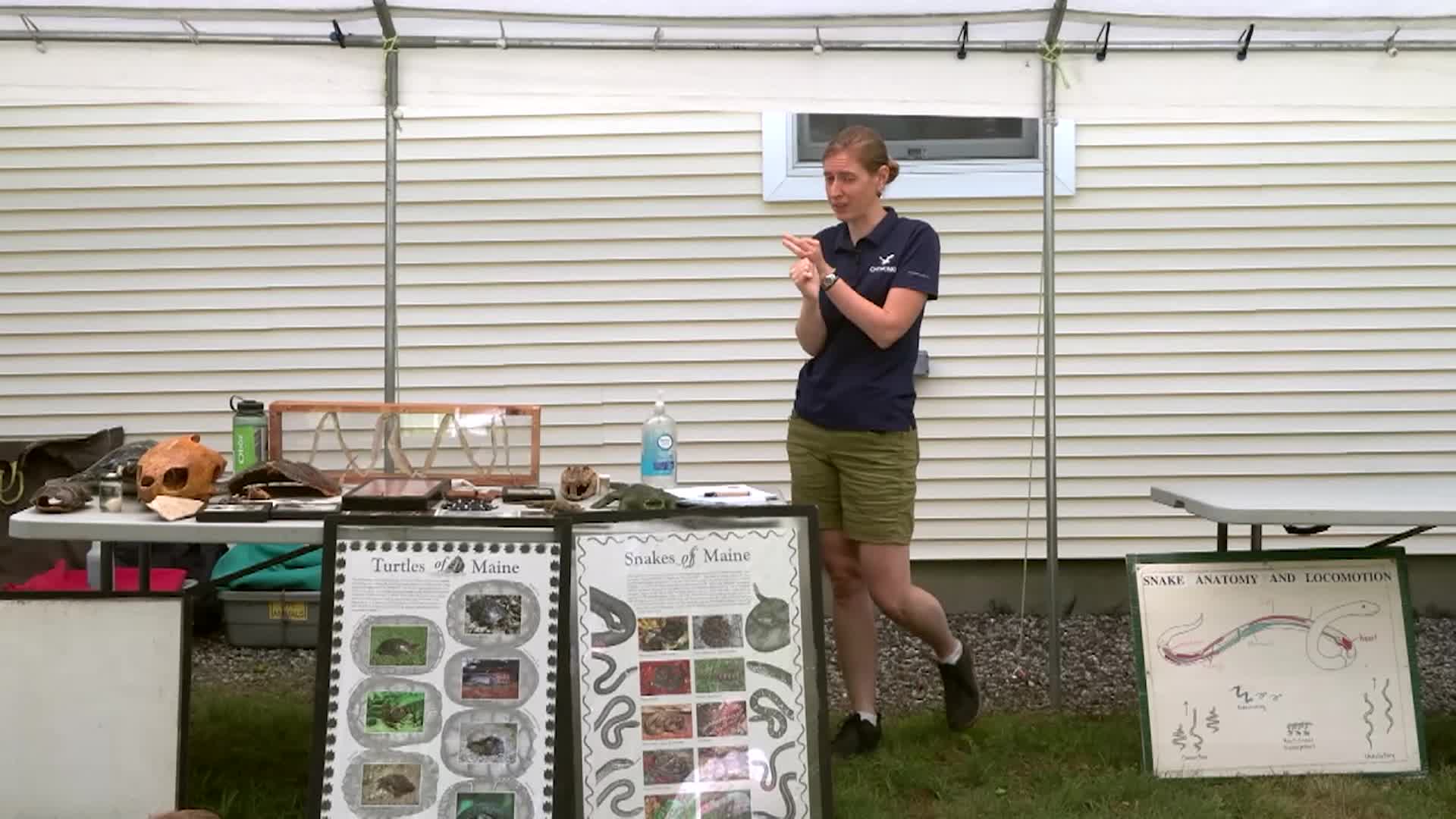 Berwick Public Library Chewonki Scales and Tails