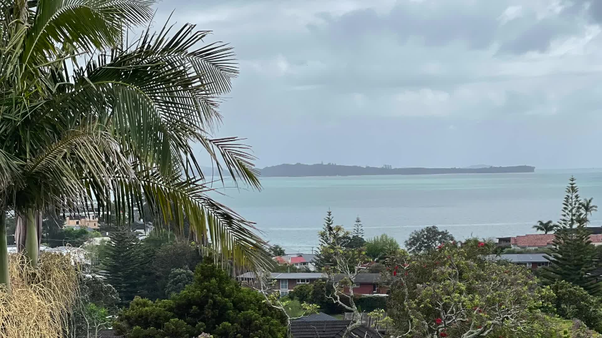 Thumbnail image for Cooking with kids New Zealand Auckland Parks arrival