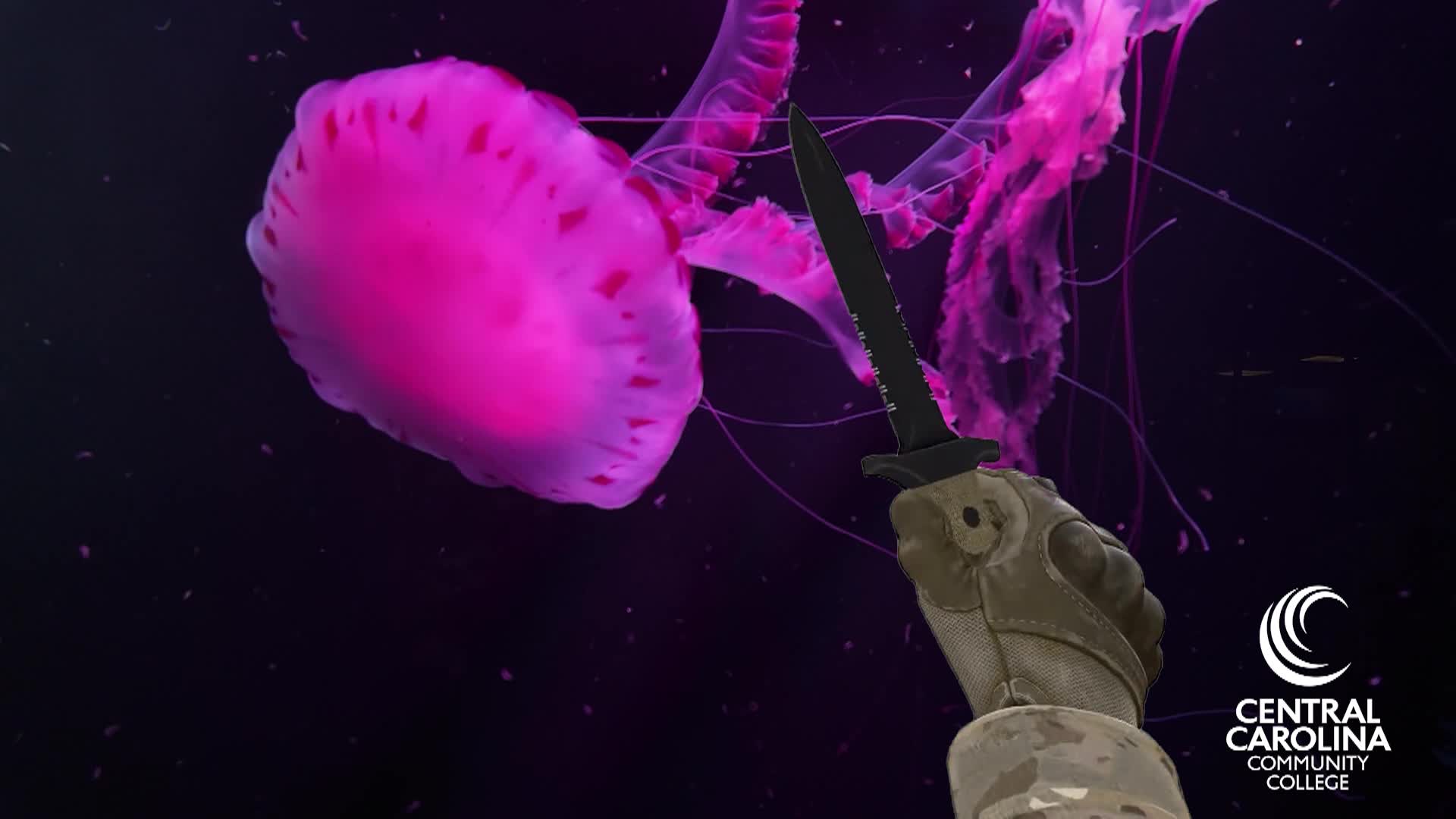 Thumbnail image for Zach Edit Excerscise