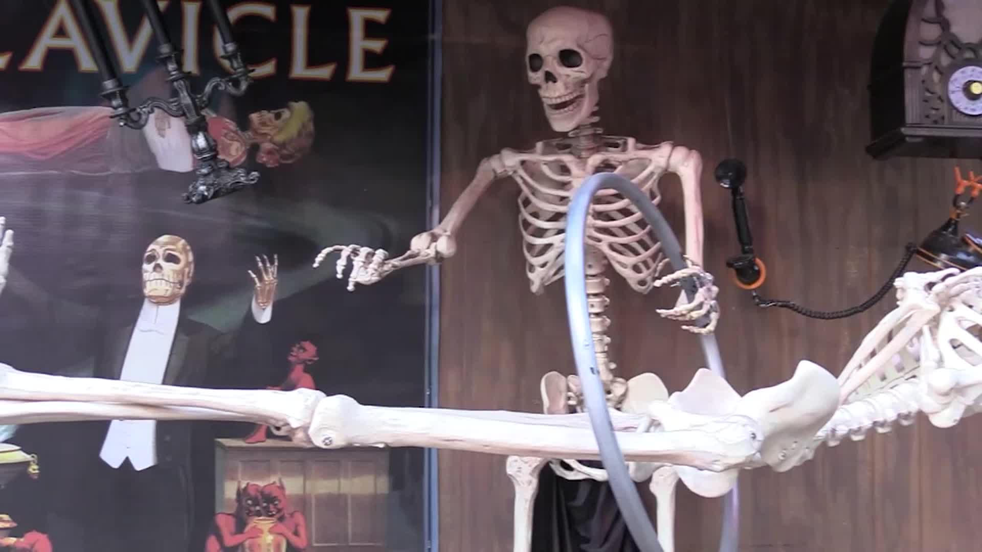 Out and About: Halloween Special Boney Island and Carved