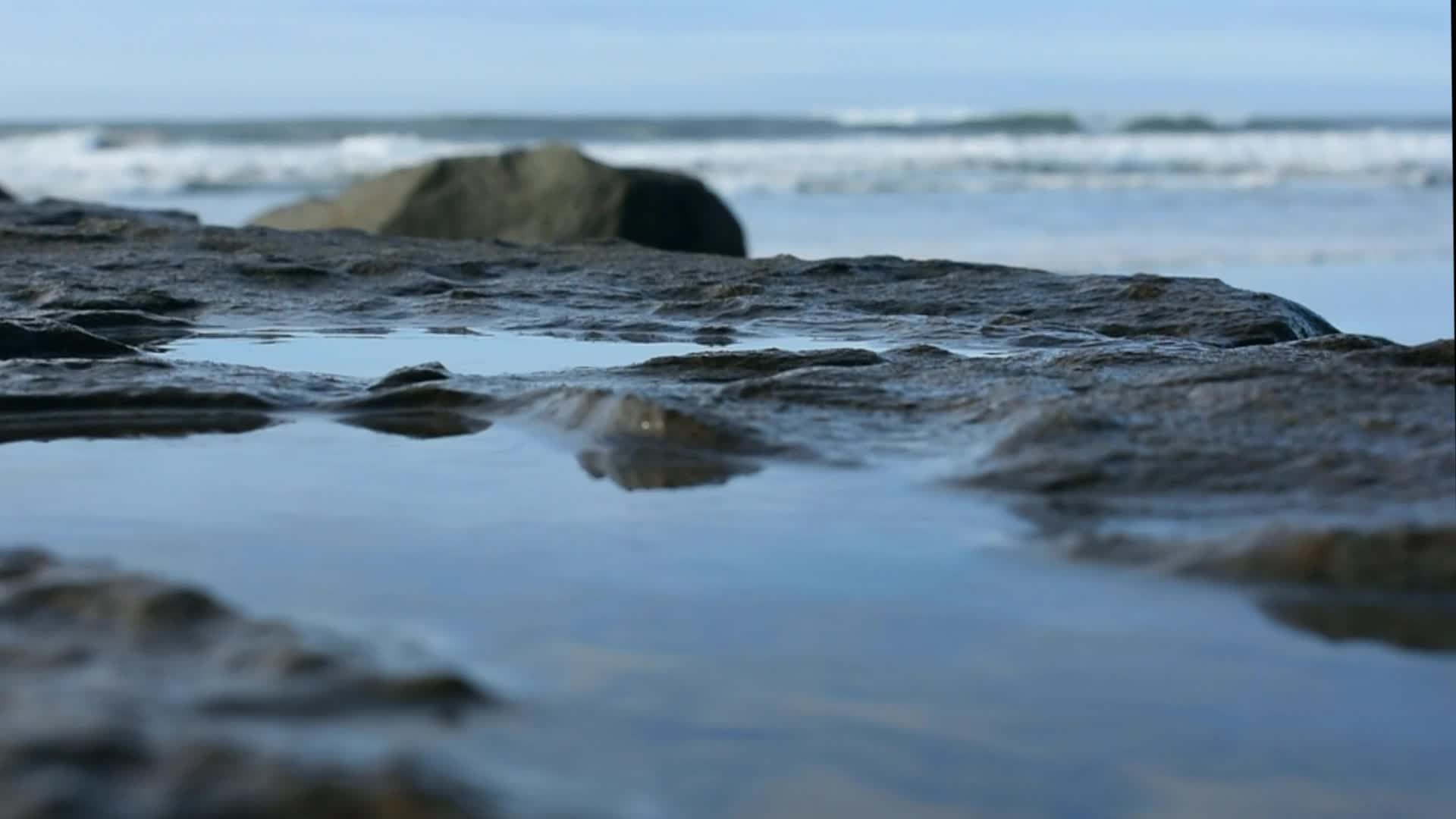 Exploring the North Jetty