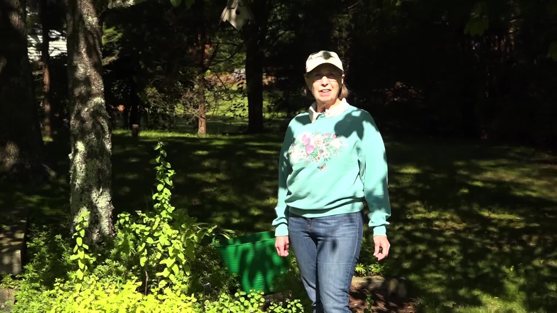 A Walk in the Garden with Liz Davey-Garden
