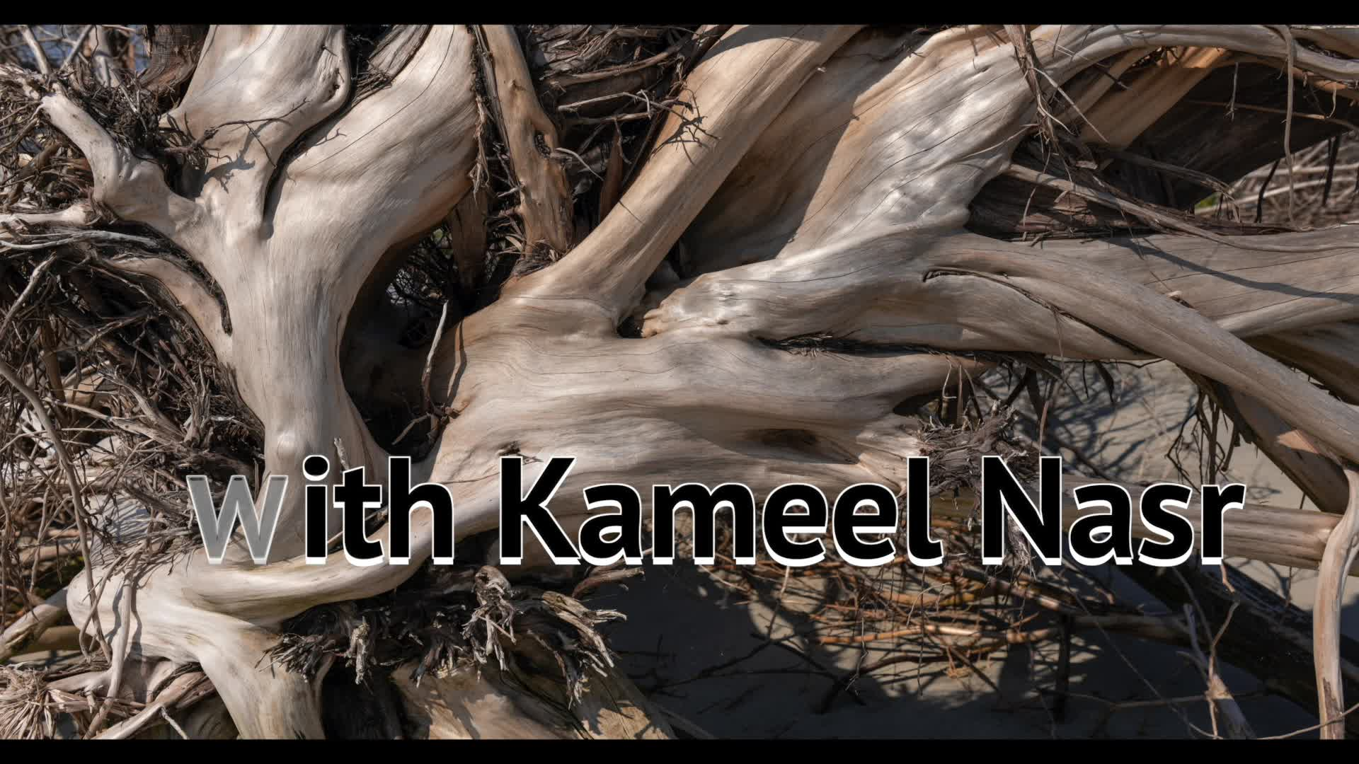 New England Authors with Kameel Nasr-77 Stuart Ablon