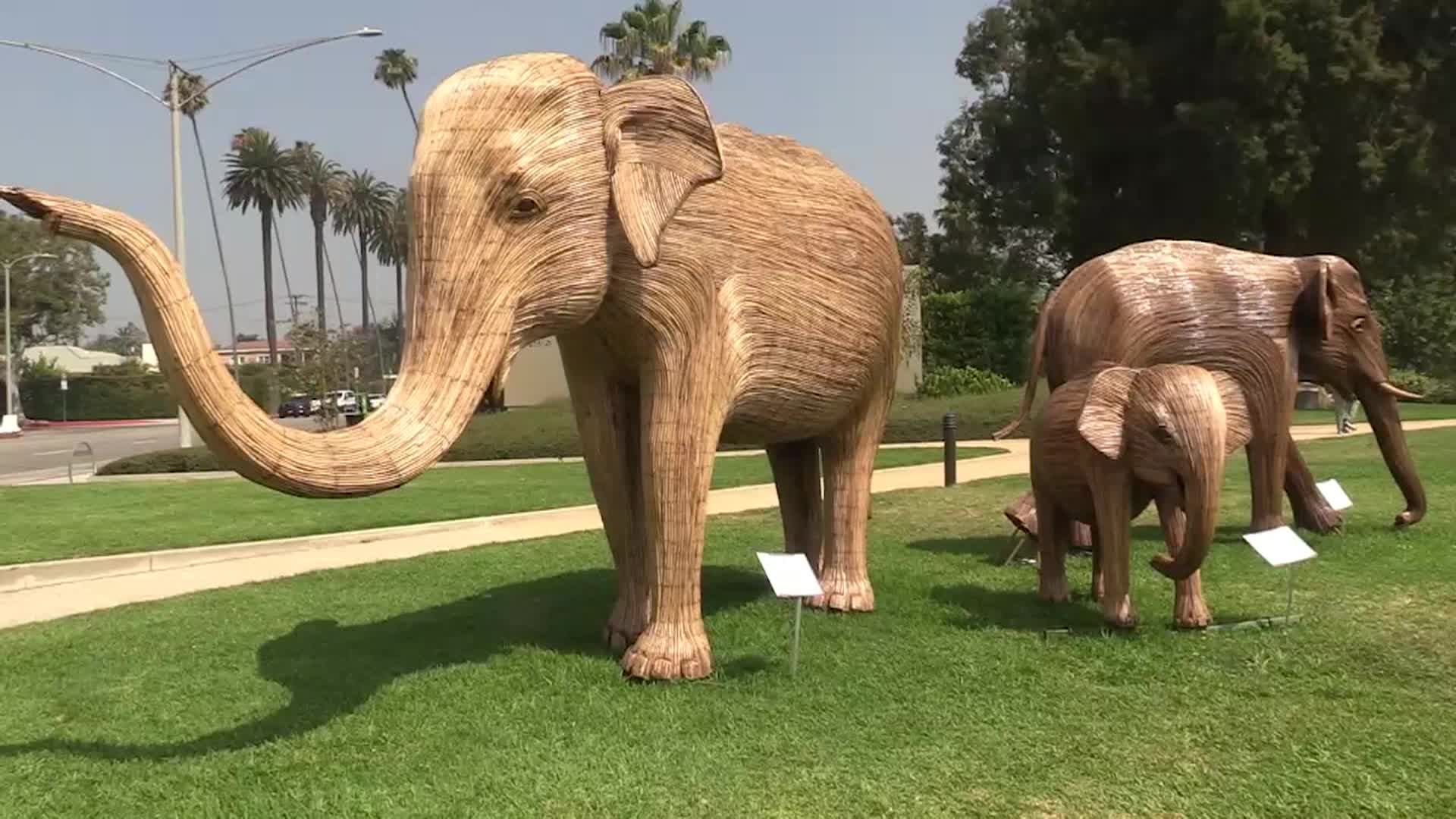 Out and About The Great Elephant Migration