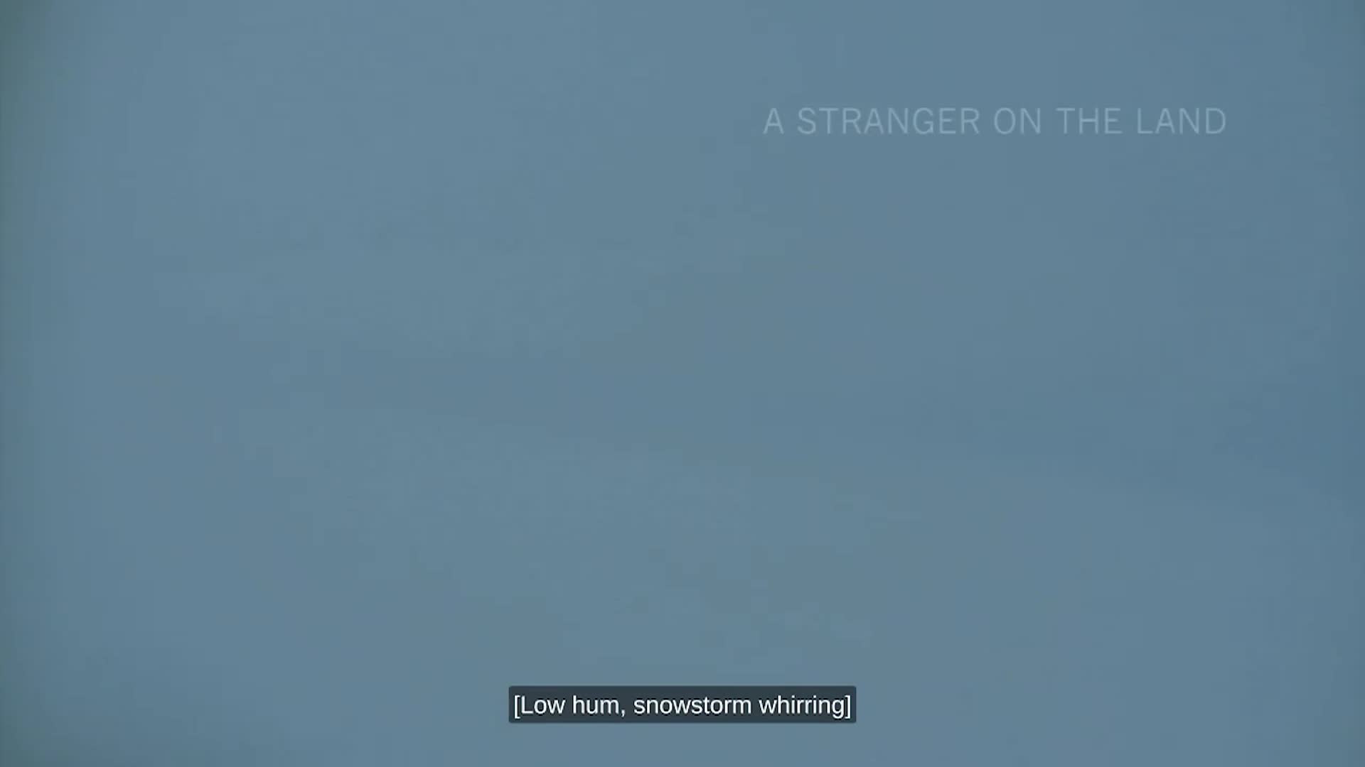 Strata Portraits of Humanity January 2026