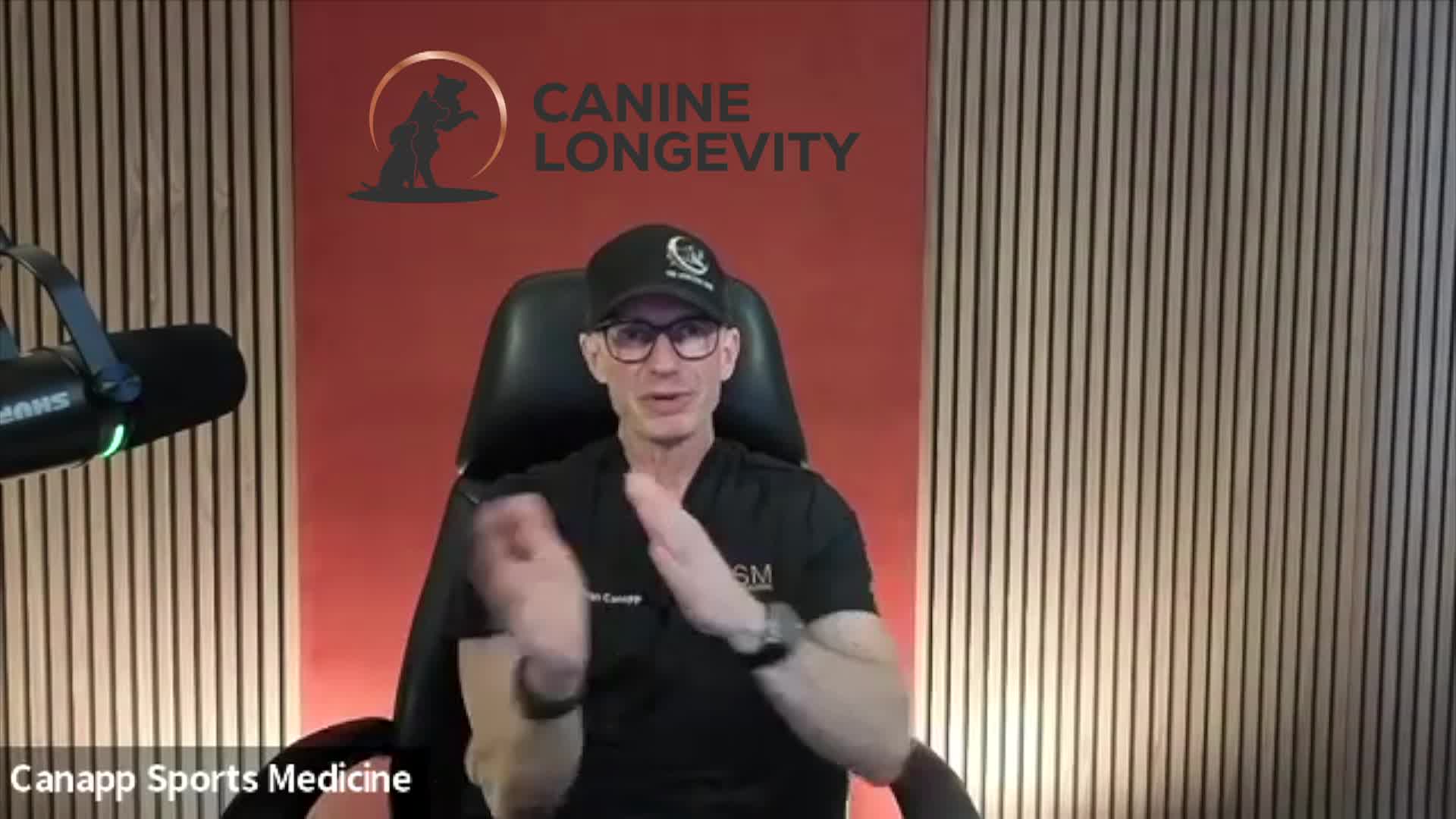 Canine Longevity: How Puppyhood Shapes Lifelong Health