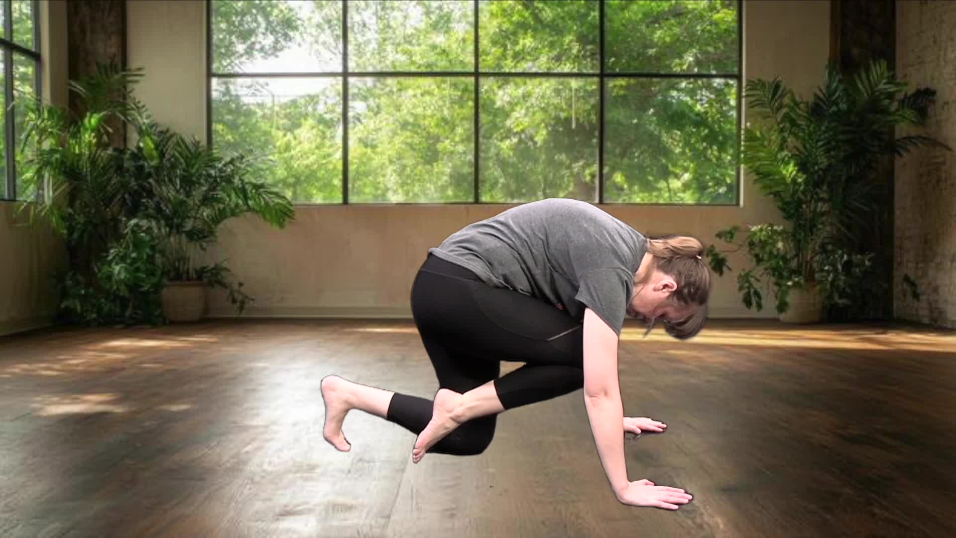 Wheels & Whirls: The Skate Dance Show Lesson 03: Stops