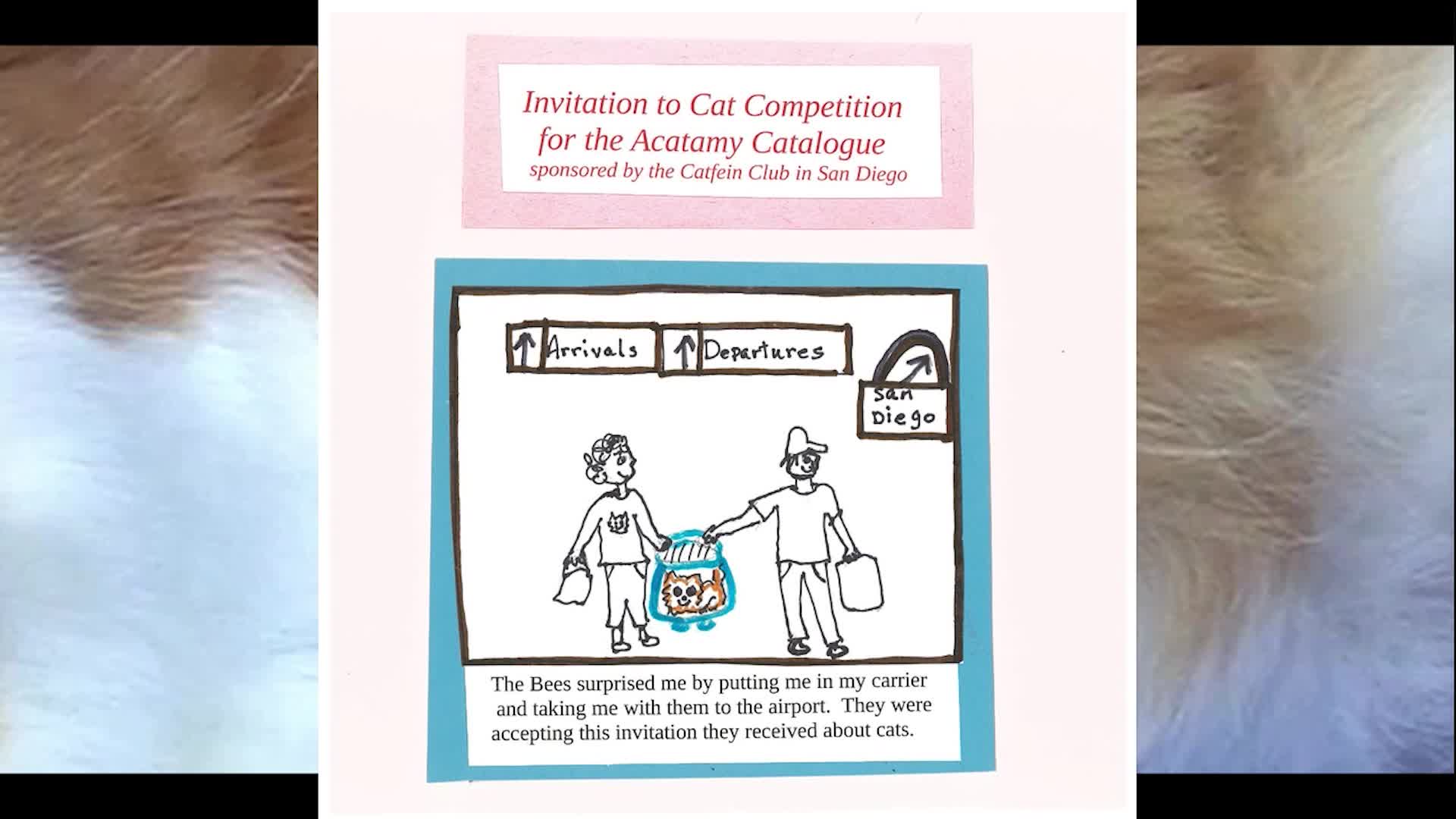 Thumbnail image for Galesteo Meets His Twin Book 18
